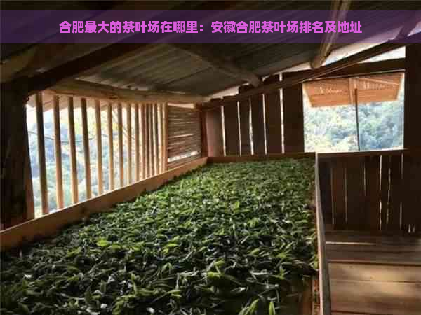 合肥更大的茶叶场在哪里：安徽合肥茶叶场排名及地址