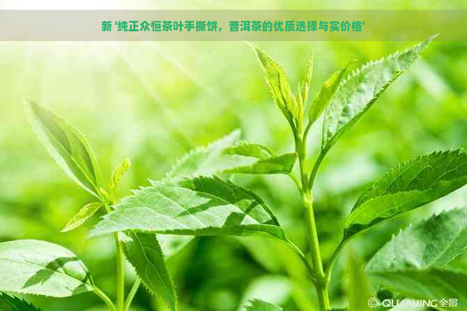 新 '纯正众恒茶叶手撕饼，普洱茶的优质选择与实价格'