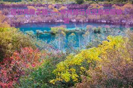 四川风情之旅——林州旅行社定制探险体验