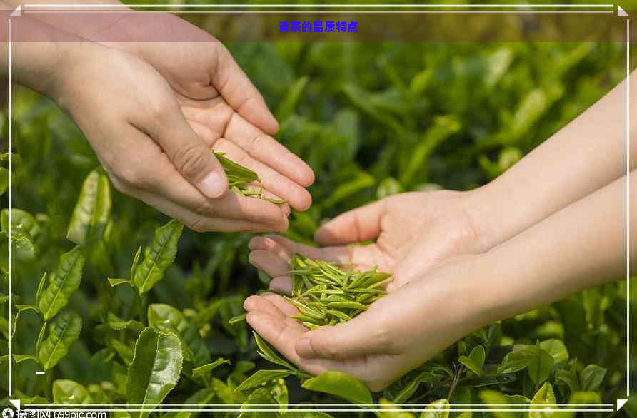 青茶的品质特点