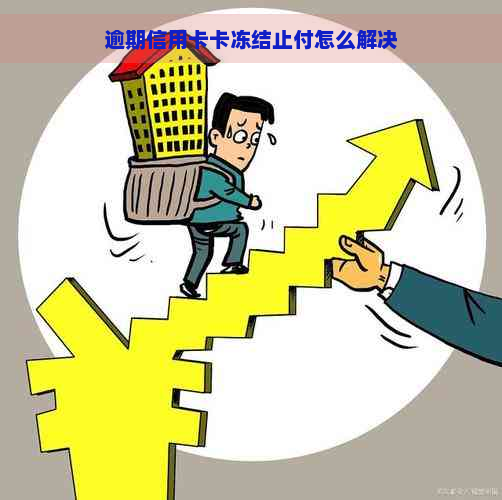 逾期信用卡卡冻结止付怎么解决