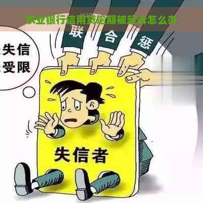 农业银行信用贷逾期被起诉怎么办