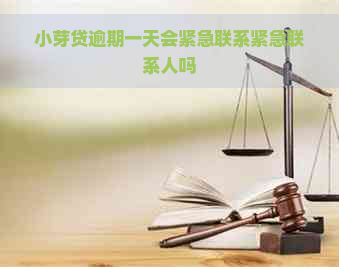 小芽贷逾期一天会紧急联系紧急联系人吗