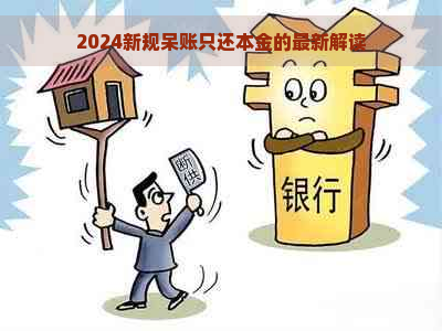 2024新规呆账只还本金的最新解读