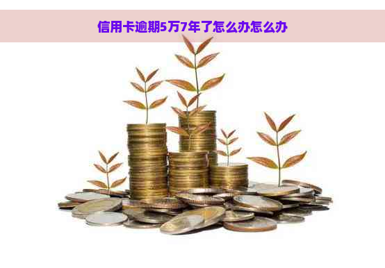 信用卡逾期5万7年了怎么办怎么办