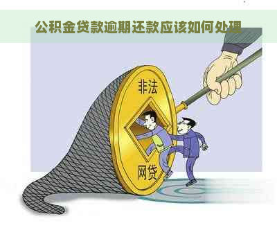 公积金贷款逾期还款应该如何处理