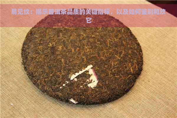 易见纹：揭示普洱茶品质的关键指标，以及如何鉴别和欣它