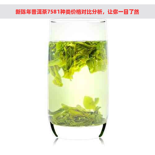 新陈年普洱茶7581种类价格对比分析，让你一目了然