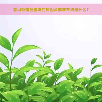 普洱茶饼鱼腥味的原因及解决方法是什么？