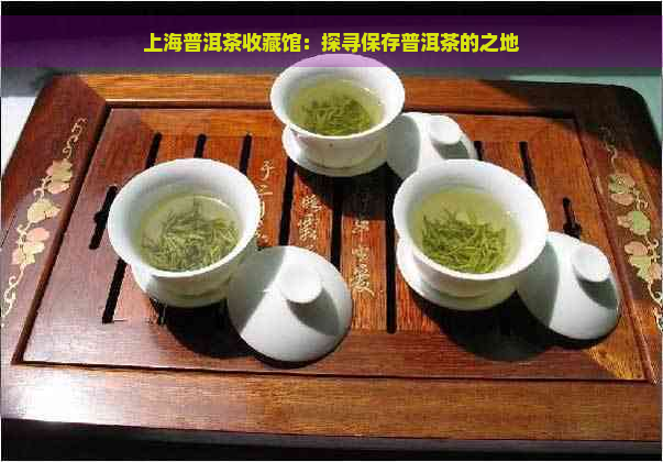 上海普洱茶收藏馆：探寻保存普洱茶的之地