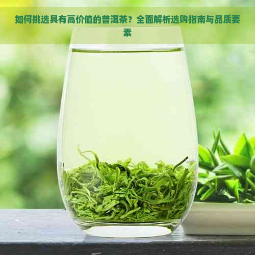 如何挑选具有高价值的普洱茶？全面解析选购指南与品质要素