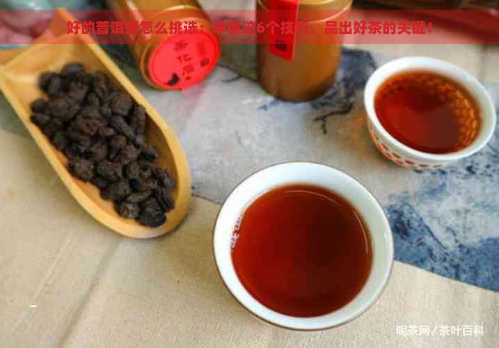 好的普洱茶怎么挑选：掌握这6个技巧，品出好茶的关键！