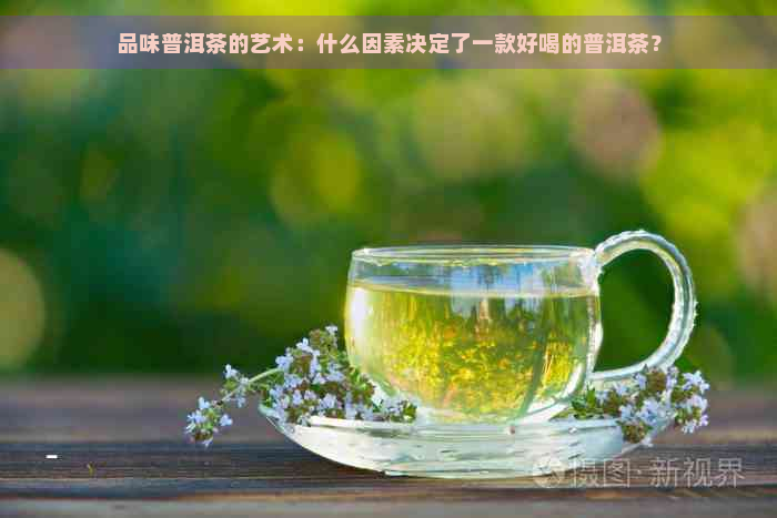 品味普洱茶的艺术：什么因素决定了一款好喝的普洱茶？