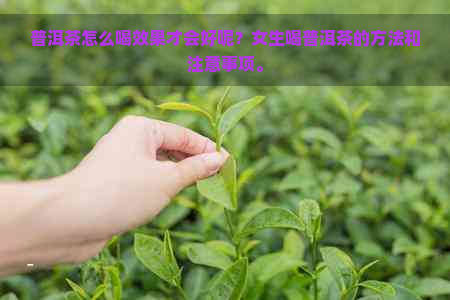 普洱茶怎么喝效果才会好呢？女生喝普洱茶的方法和注意事项。