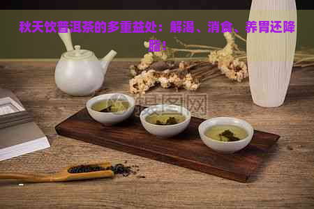 秋天饮普洱茶的多重益处：解渴、消食、养胃还降脂！