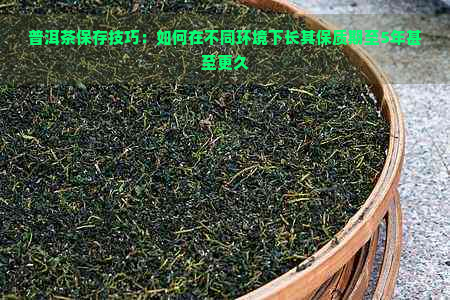 普洱茶保存技巧：如何在不同环境下长其保质期至5年甚至更久