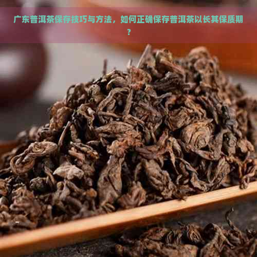 广东普洱茶保存技巧与方法，如何正确保存普洱茶以长其保质期？