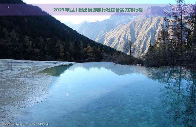 2023年四川省出境游旅行社综合实力排行榜