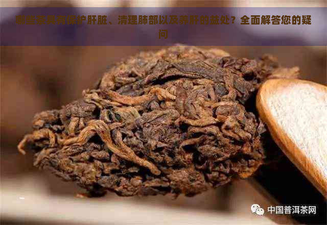 哪些茶具有保护肝脏、清理肺部以及养肝的益处？全面解答您的疑问