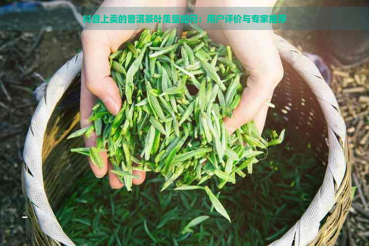 抖音上卖的普洱茶叶质量如何：用户评价与专家推荐