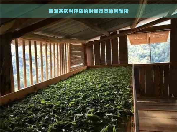 普洱茶密封存放的时间及其原因解析