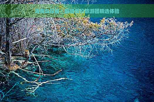 海南岛探秘：超值低价旅游团精选体验