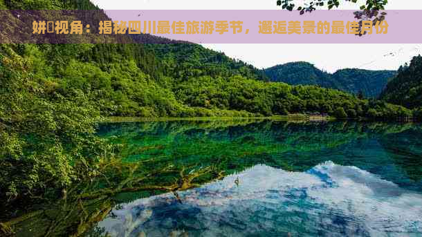 姘斿视角：揭秘四川更佳旅游季节，邂逅美景的更佳月份