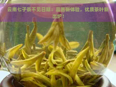 云南七子茶不见日期：品茗新体验，优质茶叶新出炉！