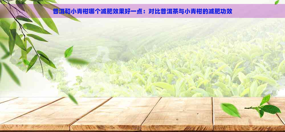 普洱和小青柑哪个减肥效果好一点：对比普洱茶与小青柑的减肥功效