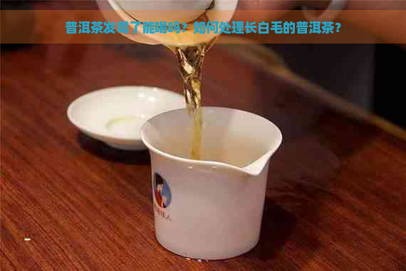 普洱茶发霉了能喝吗？如何处理长白毛的普洱茶？