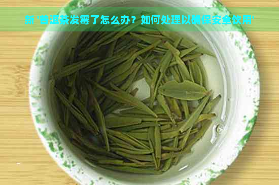 新 '普洱茶发霉了怎么办？如何处理以确保安全饮用'