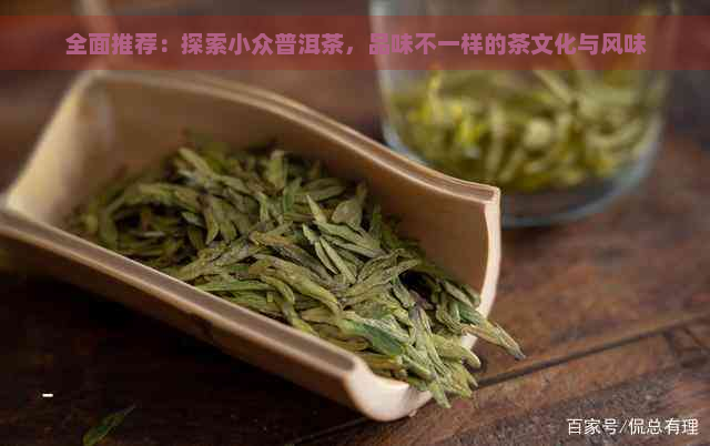 全面推荐：探索小众普洱茶，品味不一样的茶文化与风味