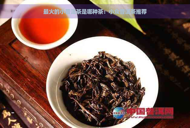 最火的小普洱茶是哪种茶：小众普洱茶推荐