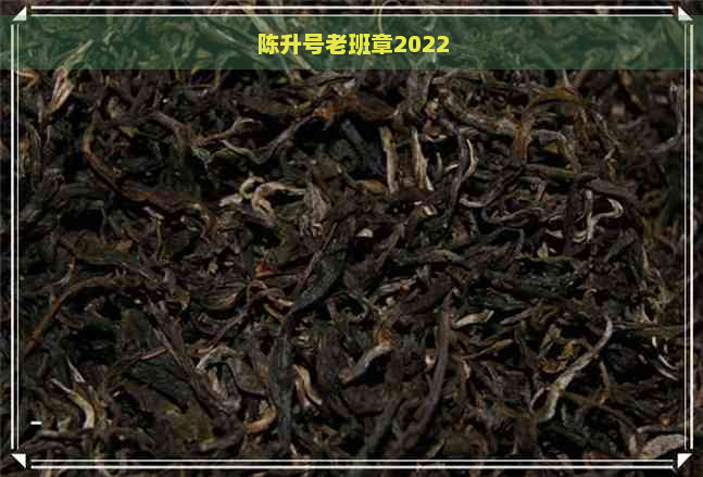 陈升号老班章2022