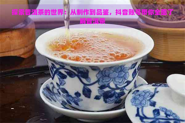 探索普洱茶的世界：从制作到品鉴，抖音账号带你全面了解普洱茶