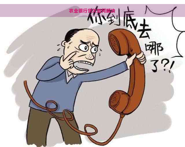 农业银行贷欠如何解决