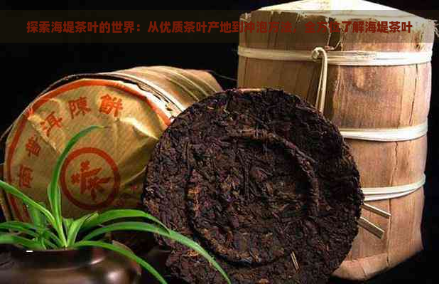 探索海堤茶叶的世界：从优质茶叶产地到冲泡方法，全方位了解海堤茶叶