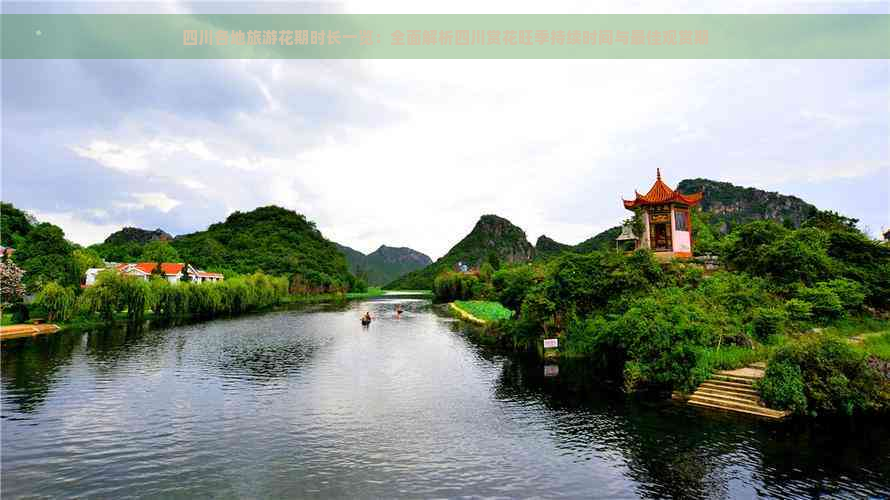 四川各地旅游花期时长一览：全面解析四川赏花旺季持续时间与更佳观赏期