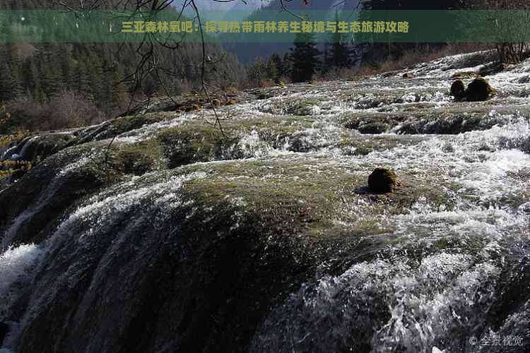 三亚森林氧吧：探寻热带雨林养生秘境与生态旅游攻略