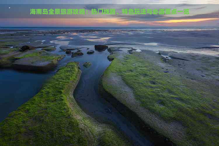 海南岛全景旅游攻略：热门线路、特色玩法与必游景点一览