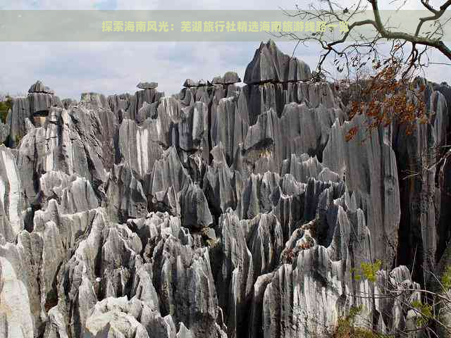 探索海南风光：芜湖旅行社精选海南旅游线路一览