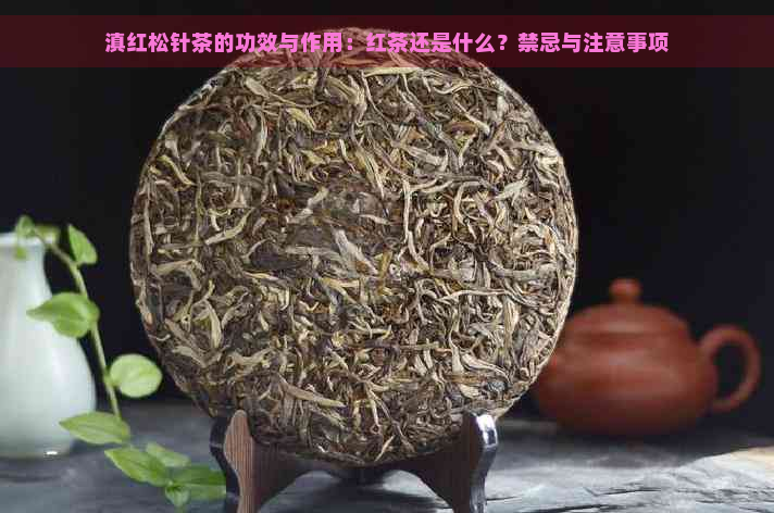 滇红松针茶的功效与作用：红茶还是什么？禁忌与注意事项