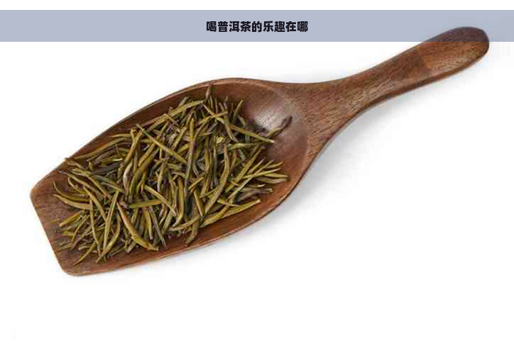 喝普洱茶的乐趣在哪