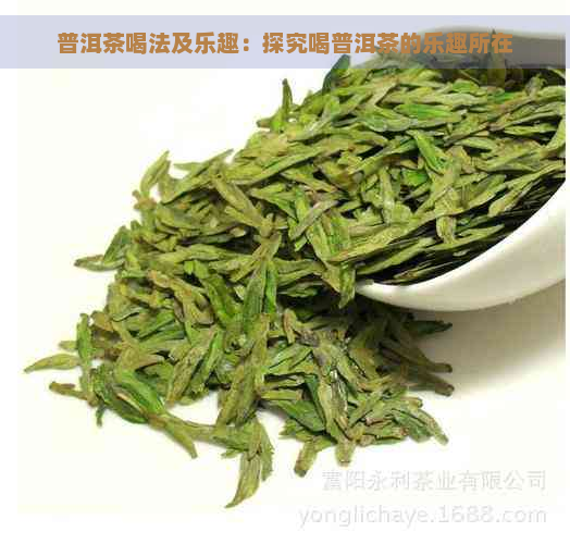 普洱茶喝法及乐趣：探究喝普洱茶的乐趣所在