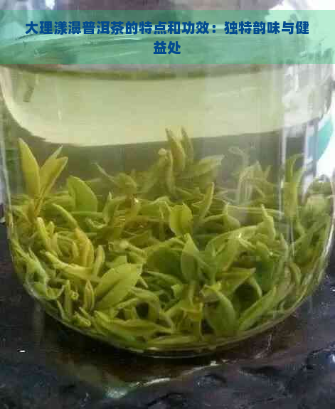 大理漾濞普洱茶的特点和功效：独特韵味与健益处