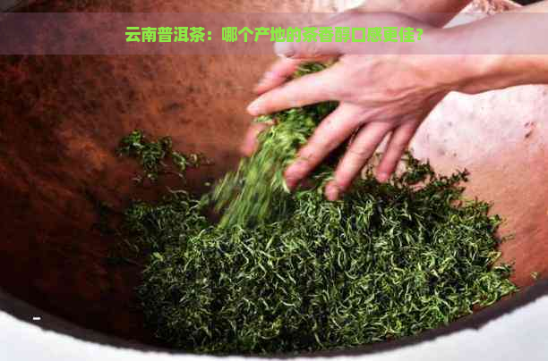 云南普洱茶：哪个产地的茶香醇口感更佳？