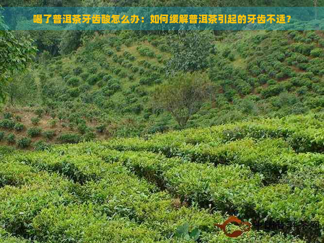 喝了普洱茶牙齿酸怎么办：如何缓解普洱茶引起的牙齿不适？