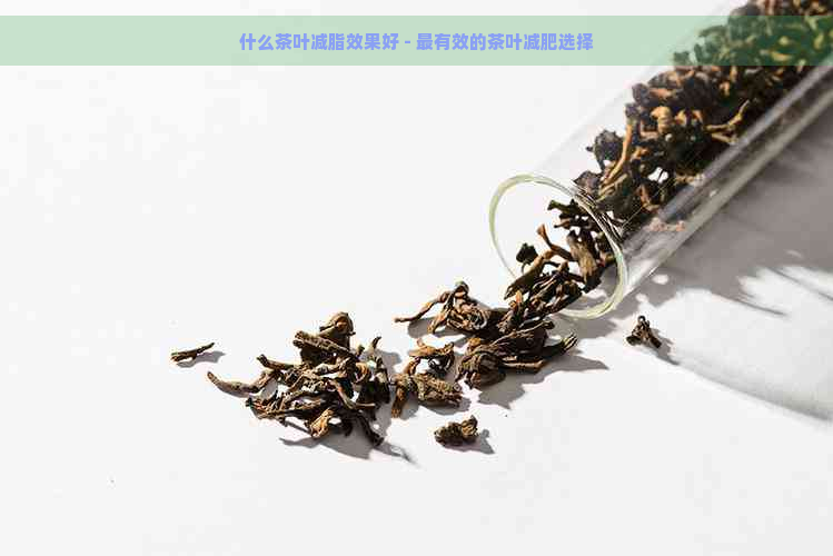 什么茶叶减脂效果好 - 最有效的茶叶减肥选择