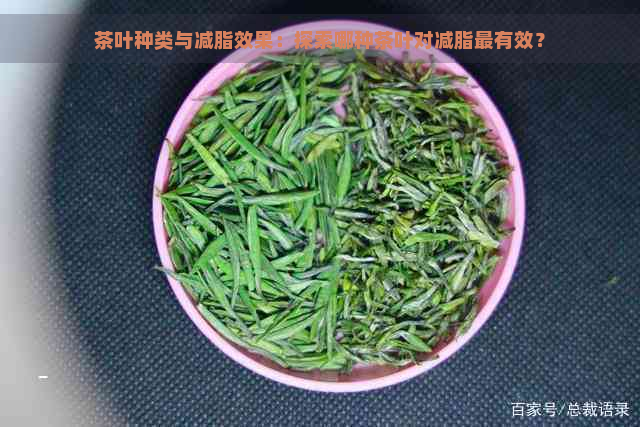 茶叶种类与减脂效果：探索哪种茶叶对减脂最有效？