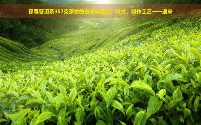 探寻普洱茶357克茶饼的由来与意义：尺寸、制作工艺一一道来